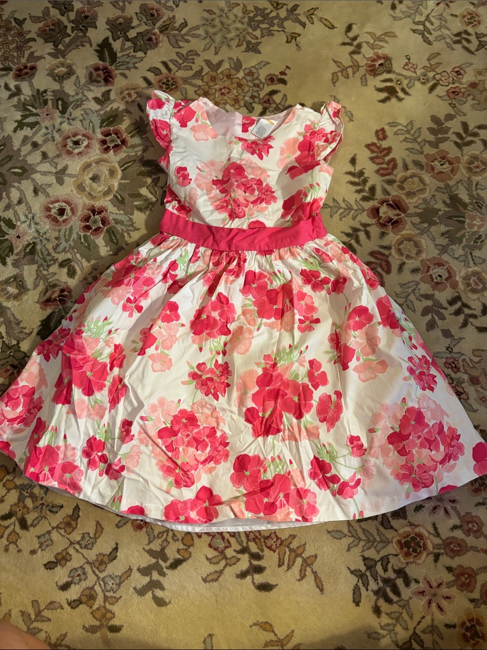 Gymboree Floral Pink & White Party Dress